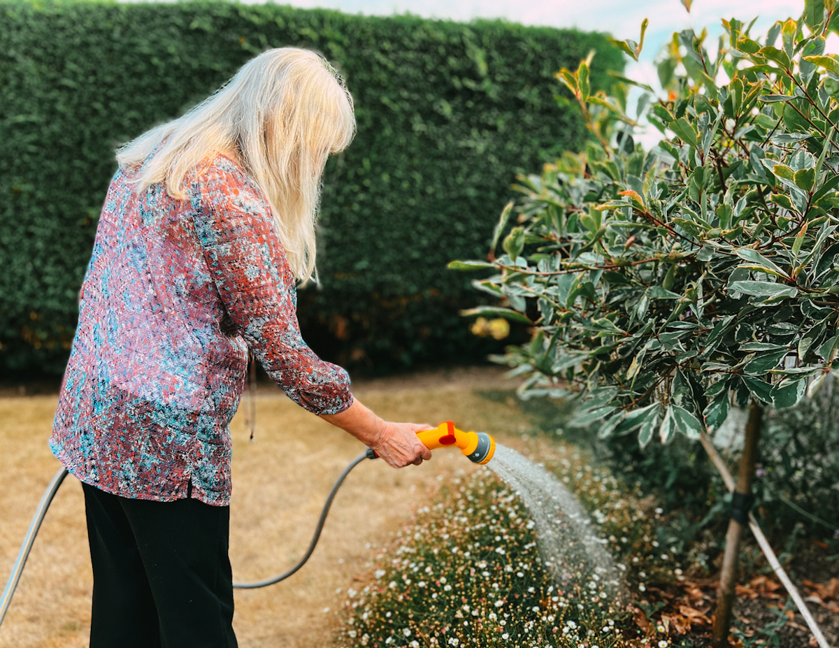 water restrictions home landscape