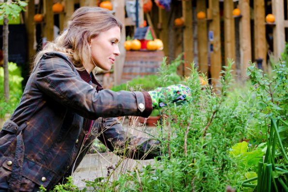Woman wearing gardening gloves pruning garden plants.