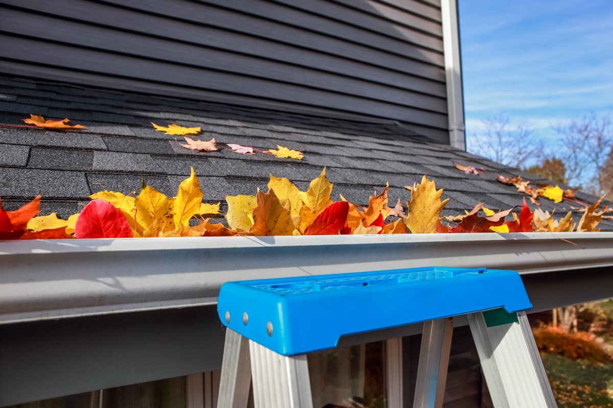How Often Should You Clean Your Gutters?