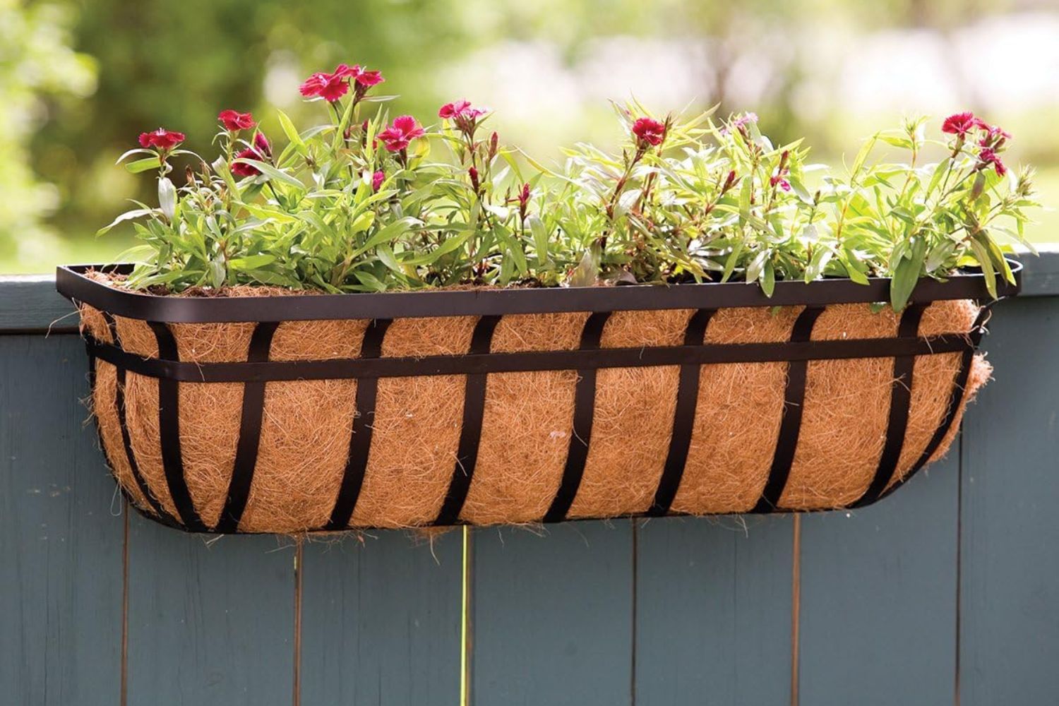 Best Railing Planters