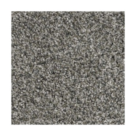 The Best Flooring For Basements Option: Home Decorators Collection Trendy Threads II Carpet