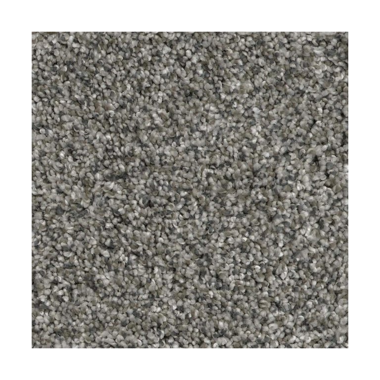  The Best Flooring For Basements Option: Home Decorators Collection Trendy Threads II Carpet