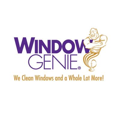 The Best Roof Cleaning Services Option Window Genie