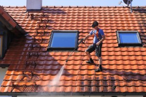 The 3 Best Roof Cleaning Services of 2024