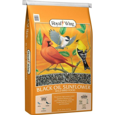 The Best Birdseed Option: Royal Wing Black Oil Sunflower Wild Bird Food