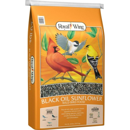 Royal Wing Black Oil Sunflower Wild Bird Food
