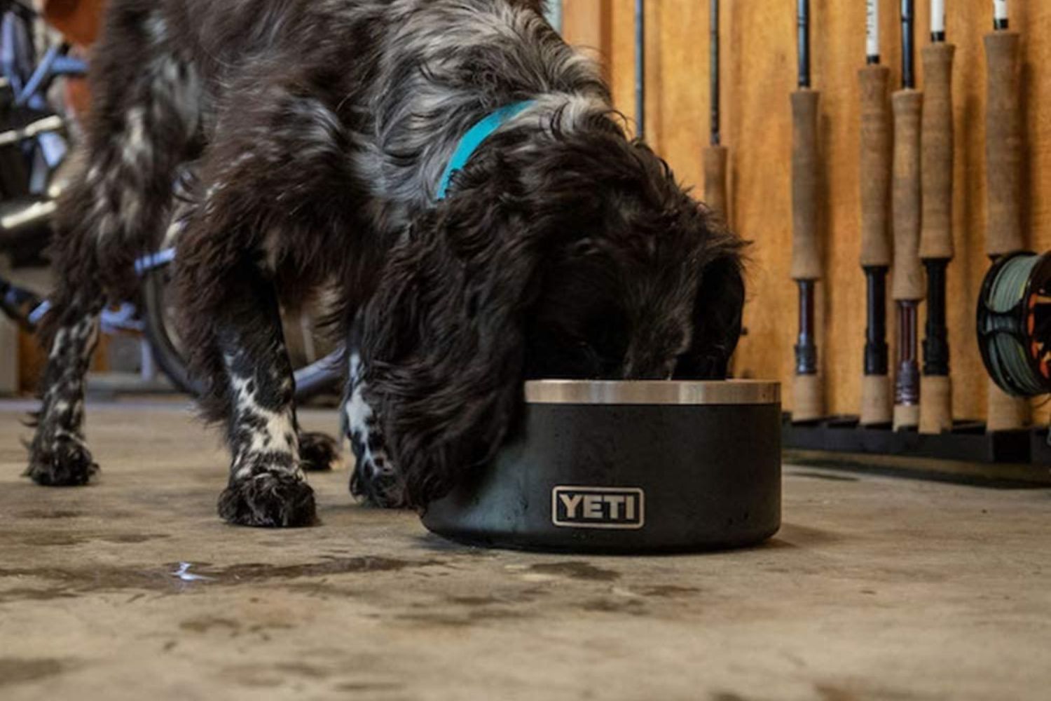 The Best Yeti Products Options: Yeti Boomer 8 Stainless Steel Dog Bowl