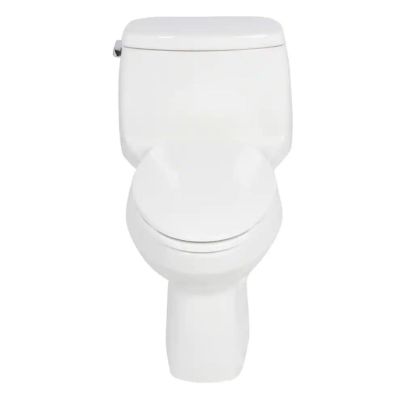 The Best Kohler Toilets Option: Kohler Santa Rosa One-Piece Toilet