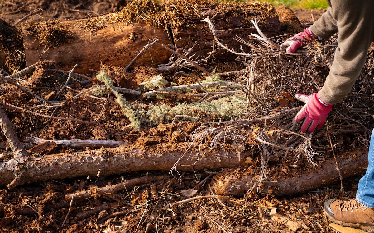 A man stacks up branches and fallen trees to build a Hugelkulter.