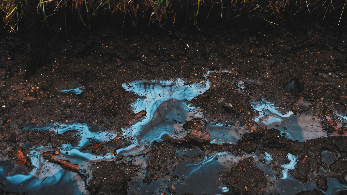 7 Contaminants That May Be Lurking in Your Soil and How to Find Them