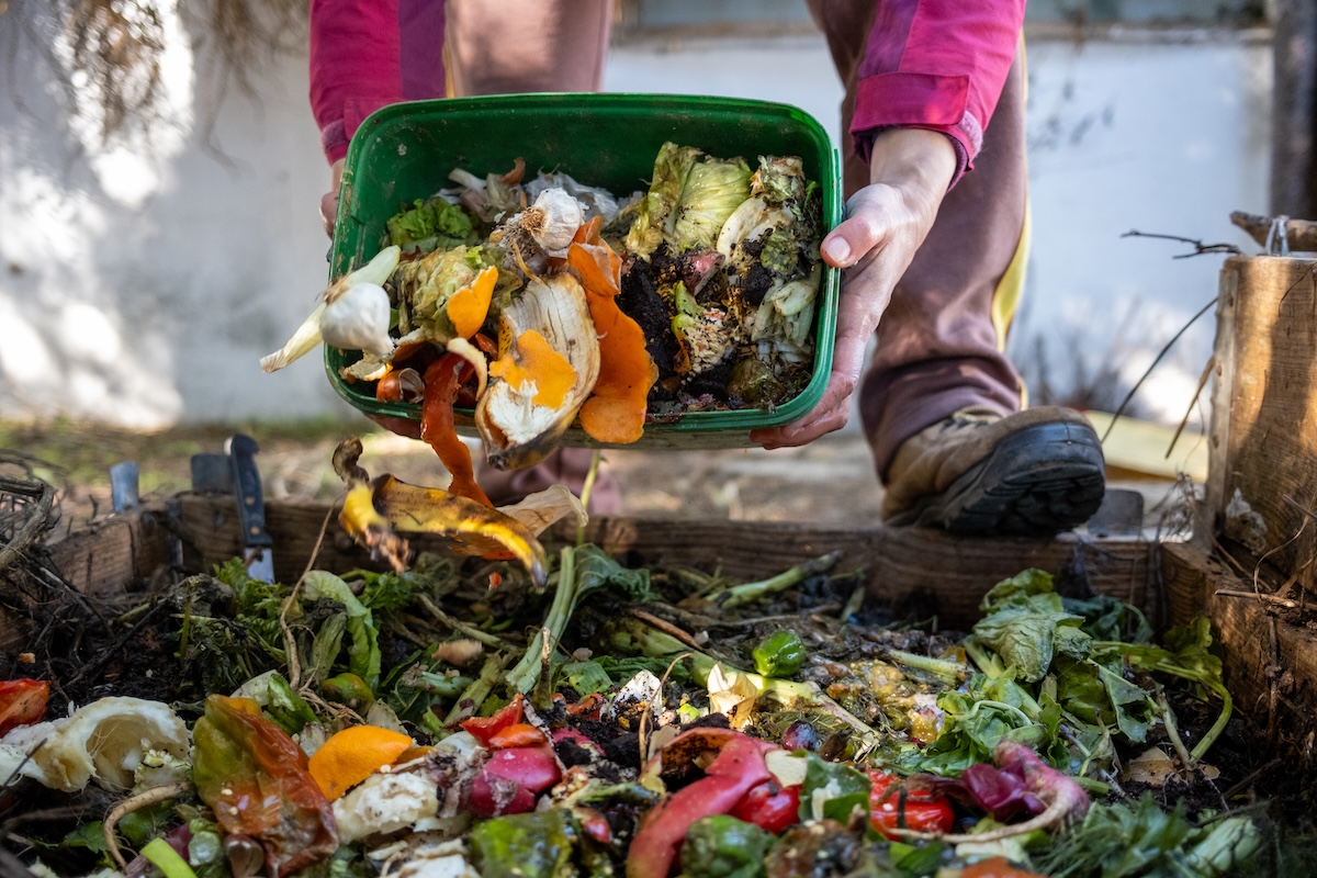 A person dumbs of tub of compost scraps into a raised garden bed.