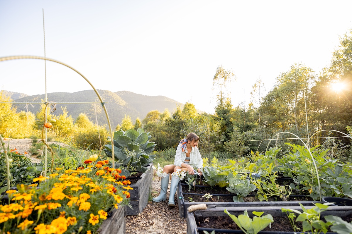 A woman in rain boots works in her garden, which has been constructed using permaculture.