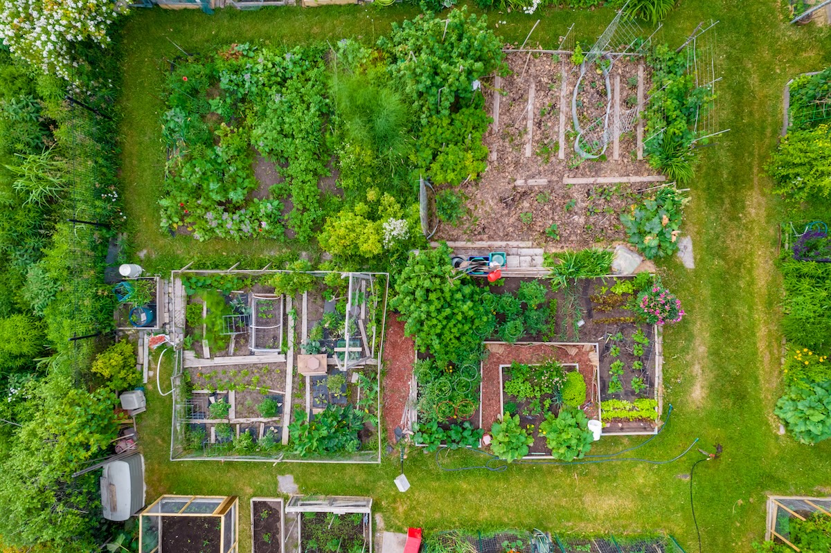 An aerial view of a garden segmented into permaculture zones. 