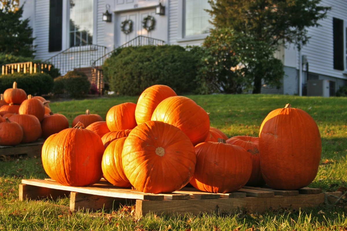 pumpkins on pallet in front of a white home