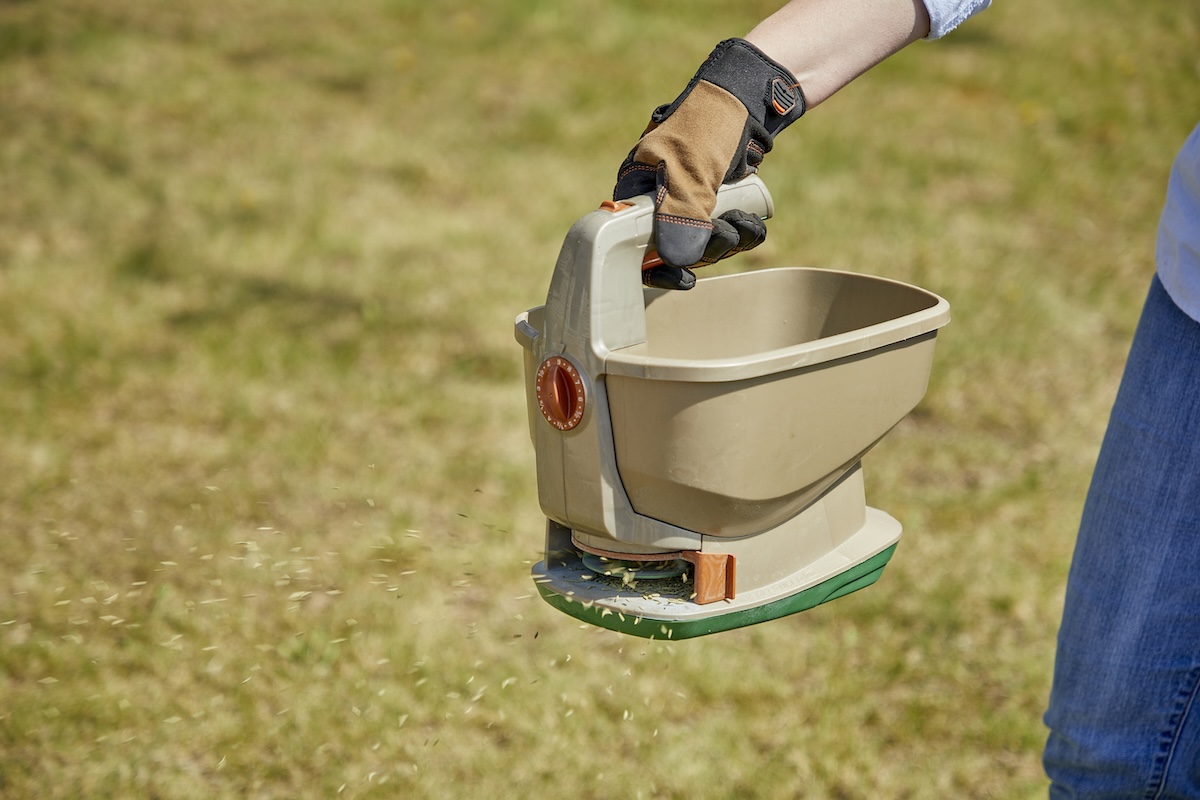 Woman spreads grass seed using a handheld seed spreader.