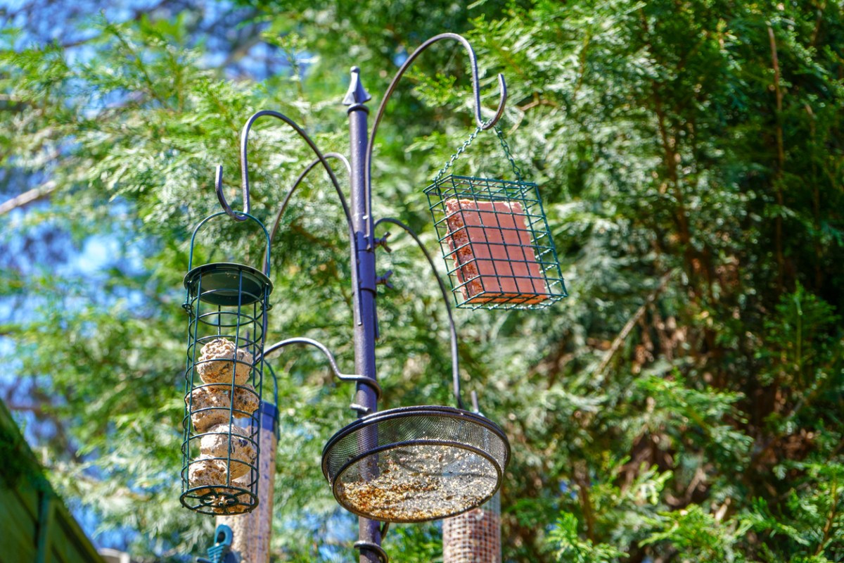 Three types of bird feeders on a pole outdoors