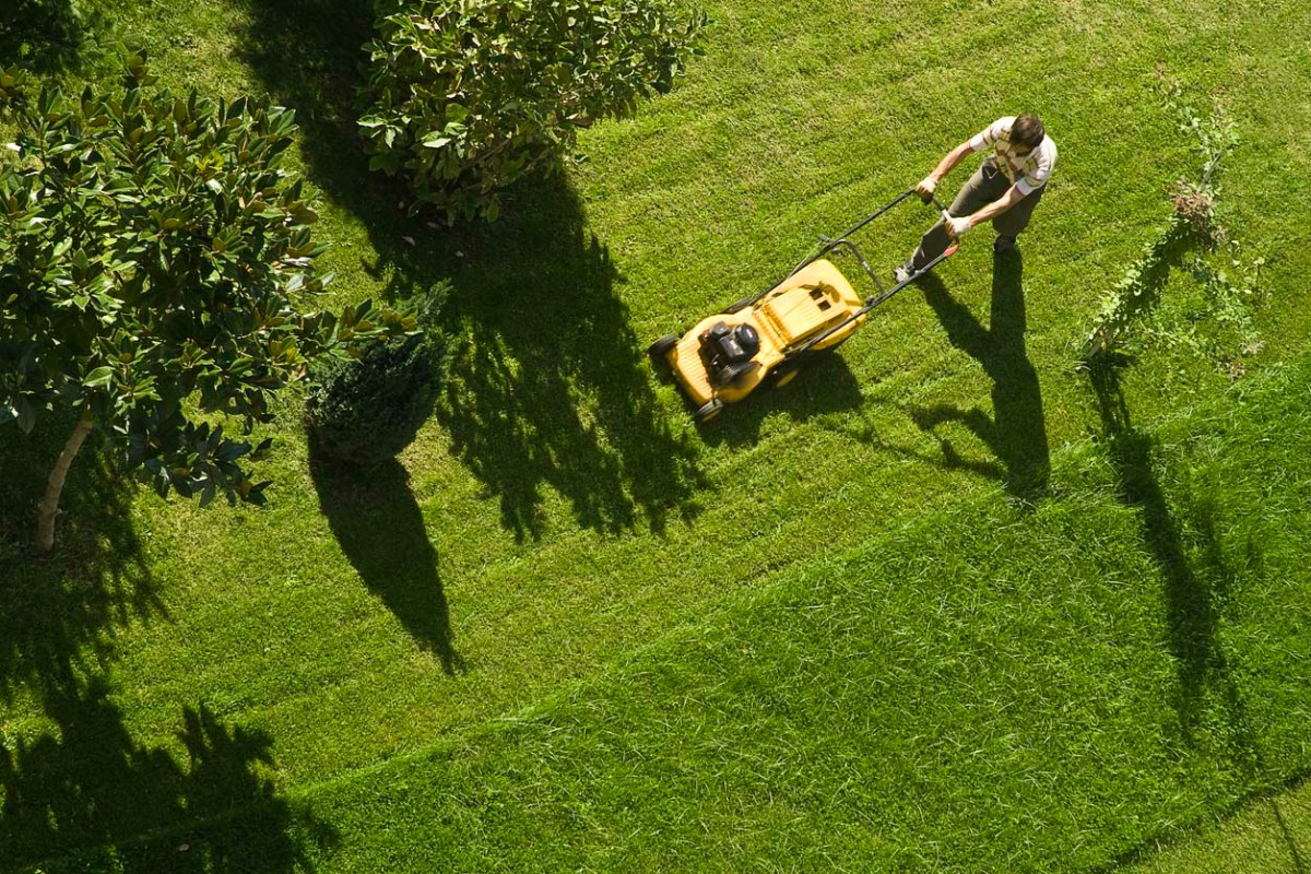 The Best Lawn Care Scheduling Software Options