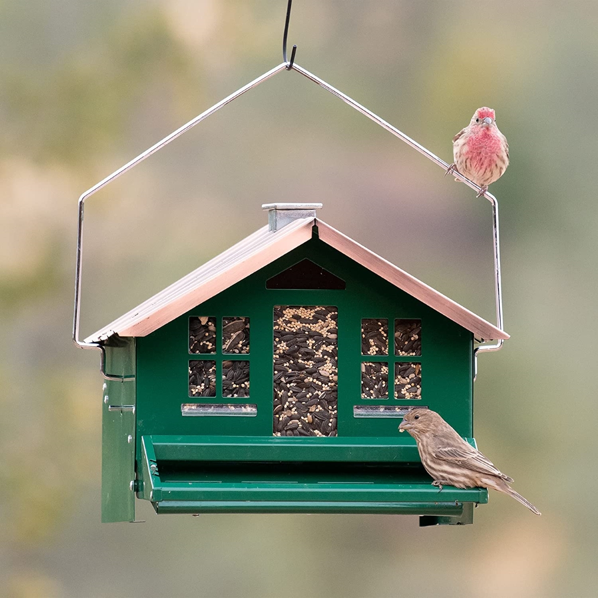 types of bird feeders - hopper feeder