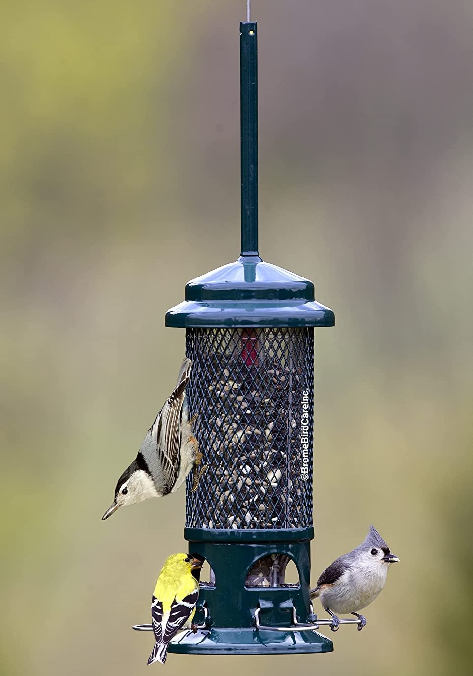 types of bird feeders - squirrel proof feeder