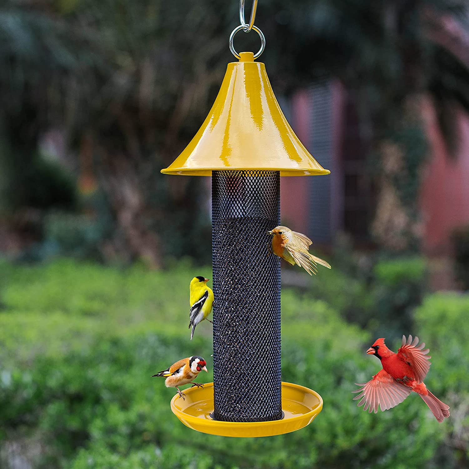 types of bird feeders - thistle feeder