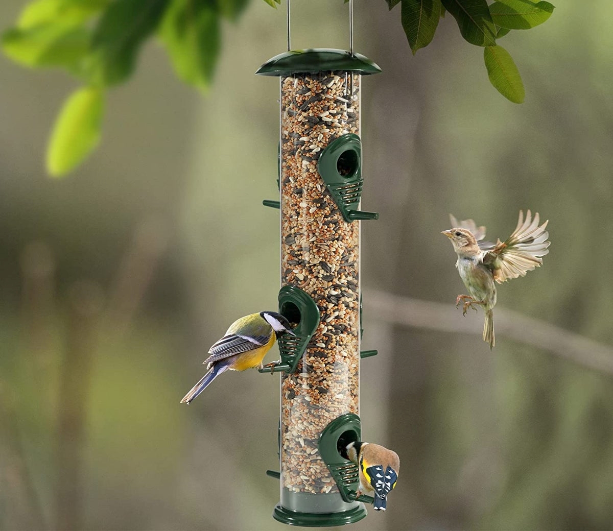 types of bird feeders - tube bird feeder