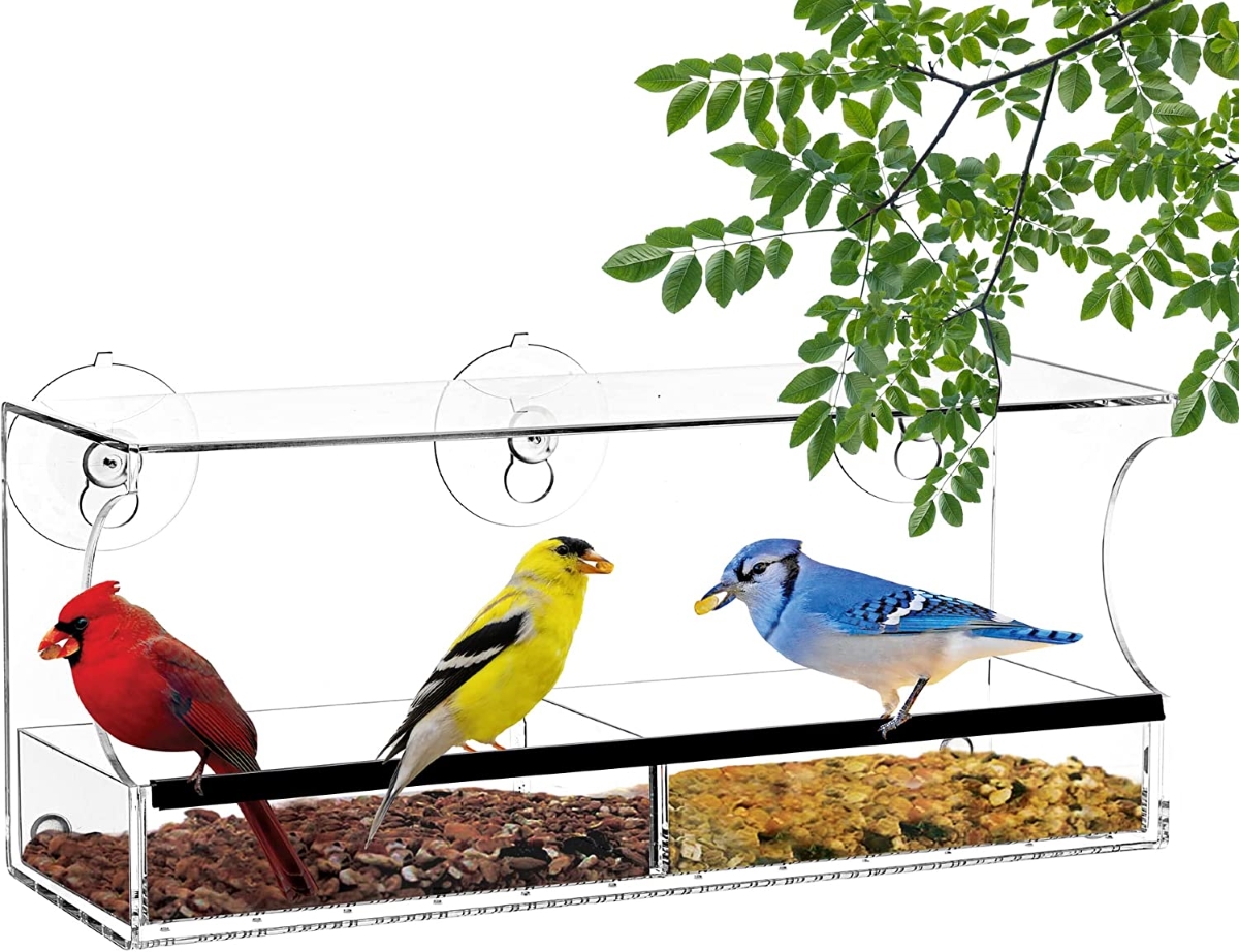 types of bird feeders - window feeder