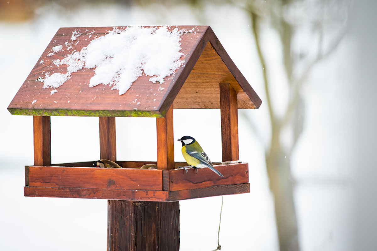 last-minute outdoor projects for fall with quikrete post for bird feeder