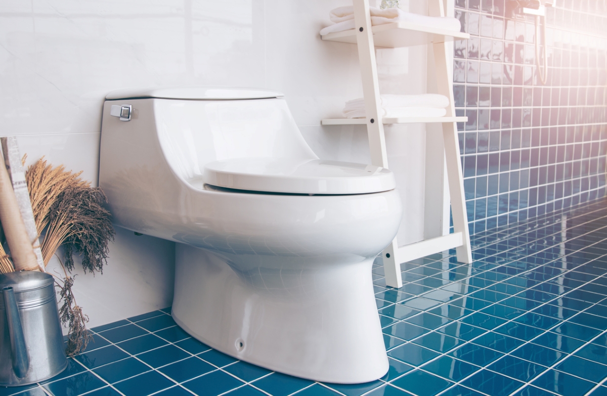 types of toilets - toilet side view