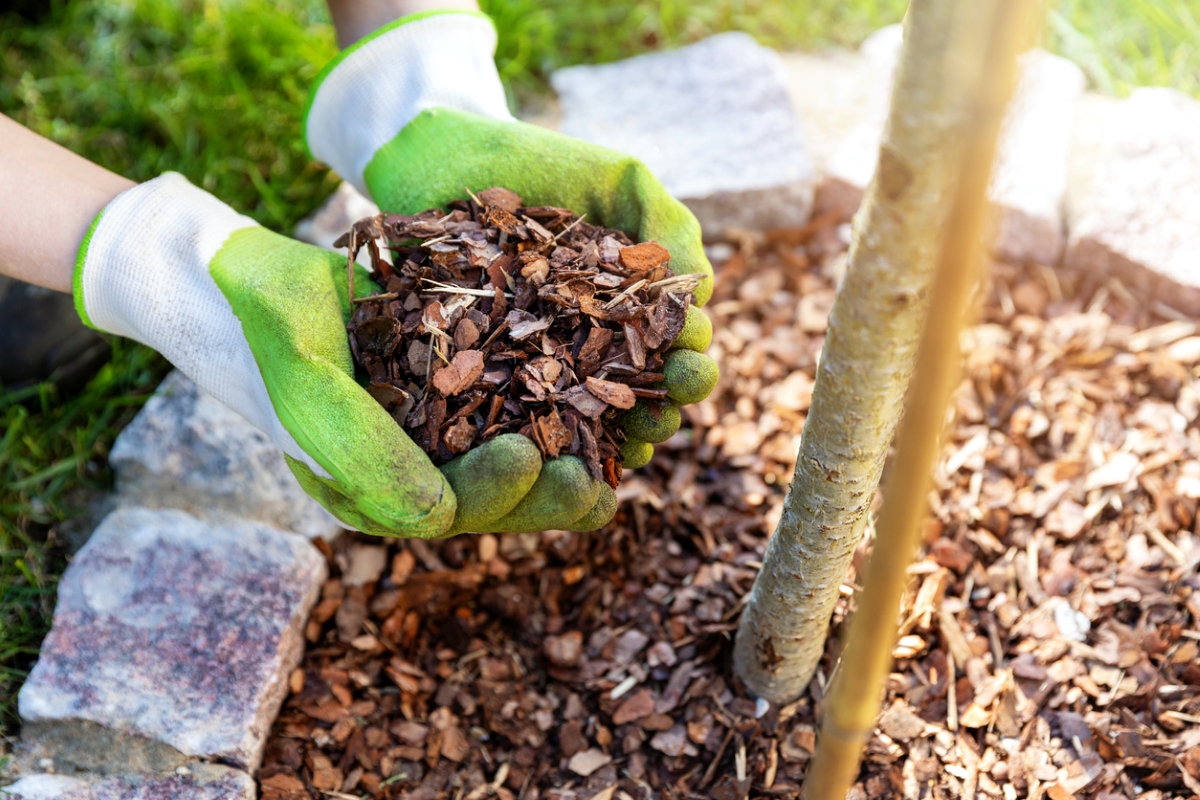 20 Things to Fix Around the House for Under $20 - hands with mulch