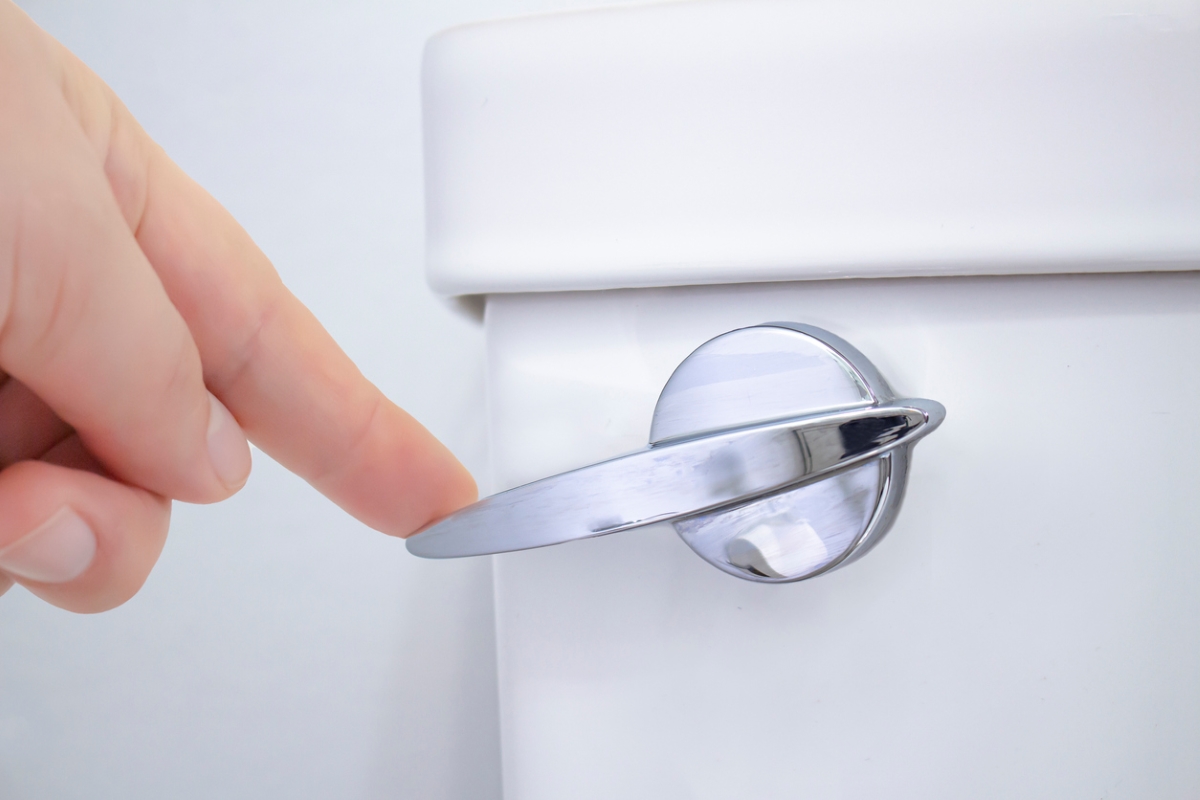 types of toilets - hand pushing toilet lever