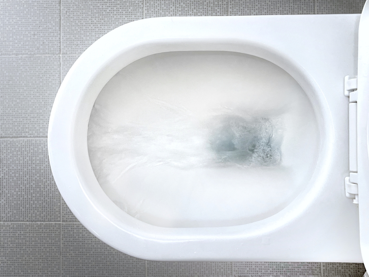 types of toilets - toilet bowl flush