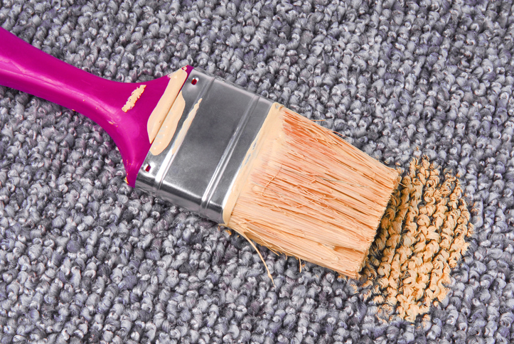 House fixes under $20 paint brush on carpet