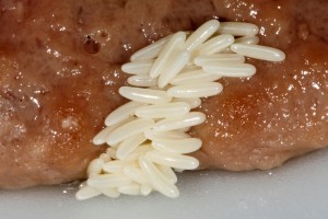 How to Get Rid of Maggots Naturally - Bob Vila