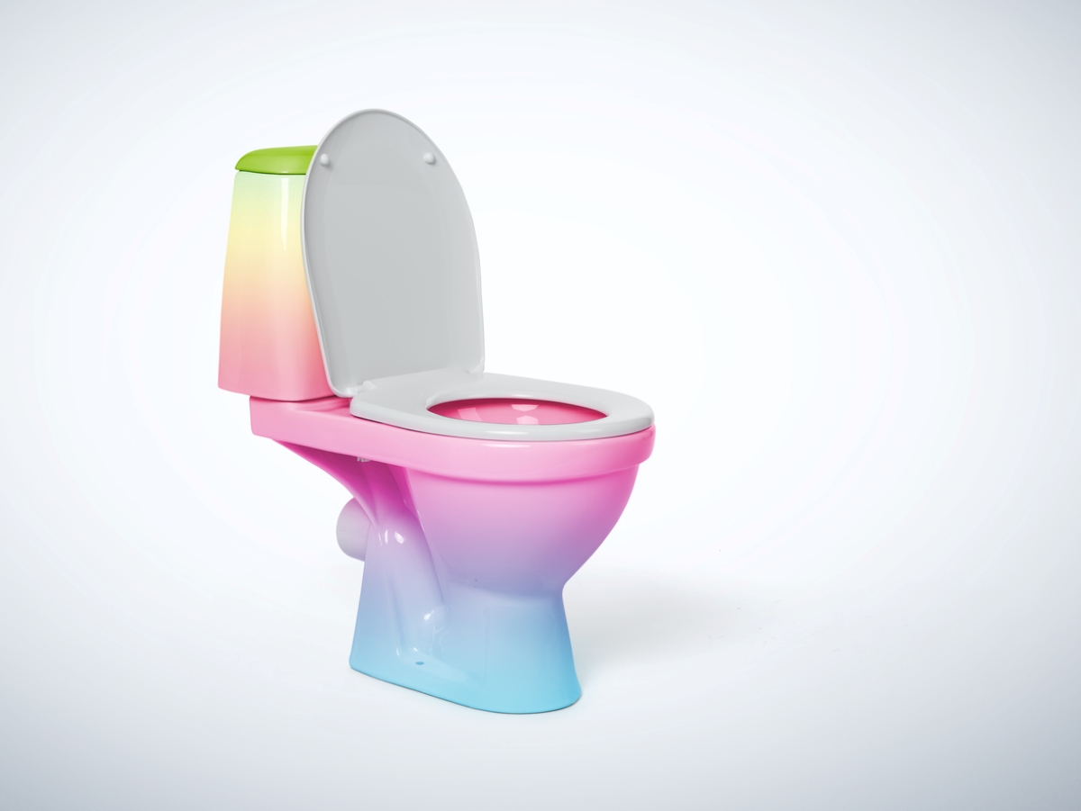 types of toilets - multi-color toilet