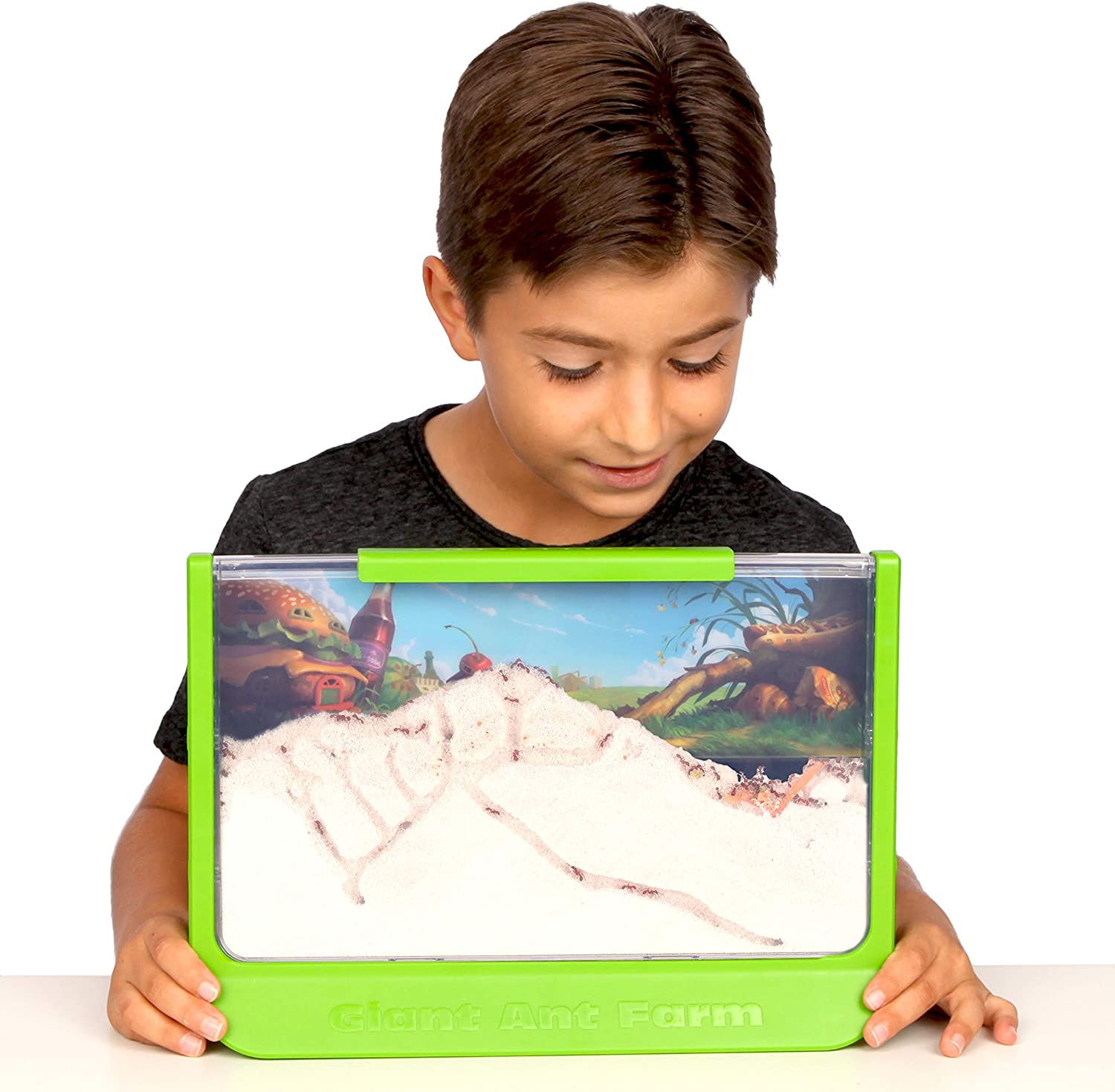 best gifts under 50 giant ant farm