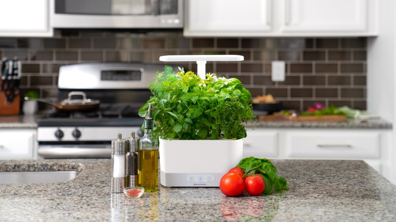 Our Favorite AeroGarden Is 52% Off for Cyber Monday—And Makes a Great Gift