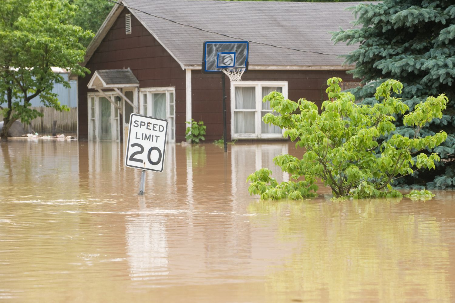 How Much Is Flood Insurance in Florida