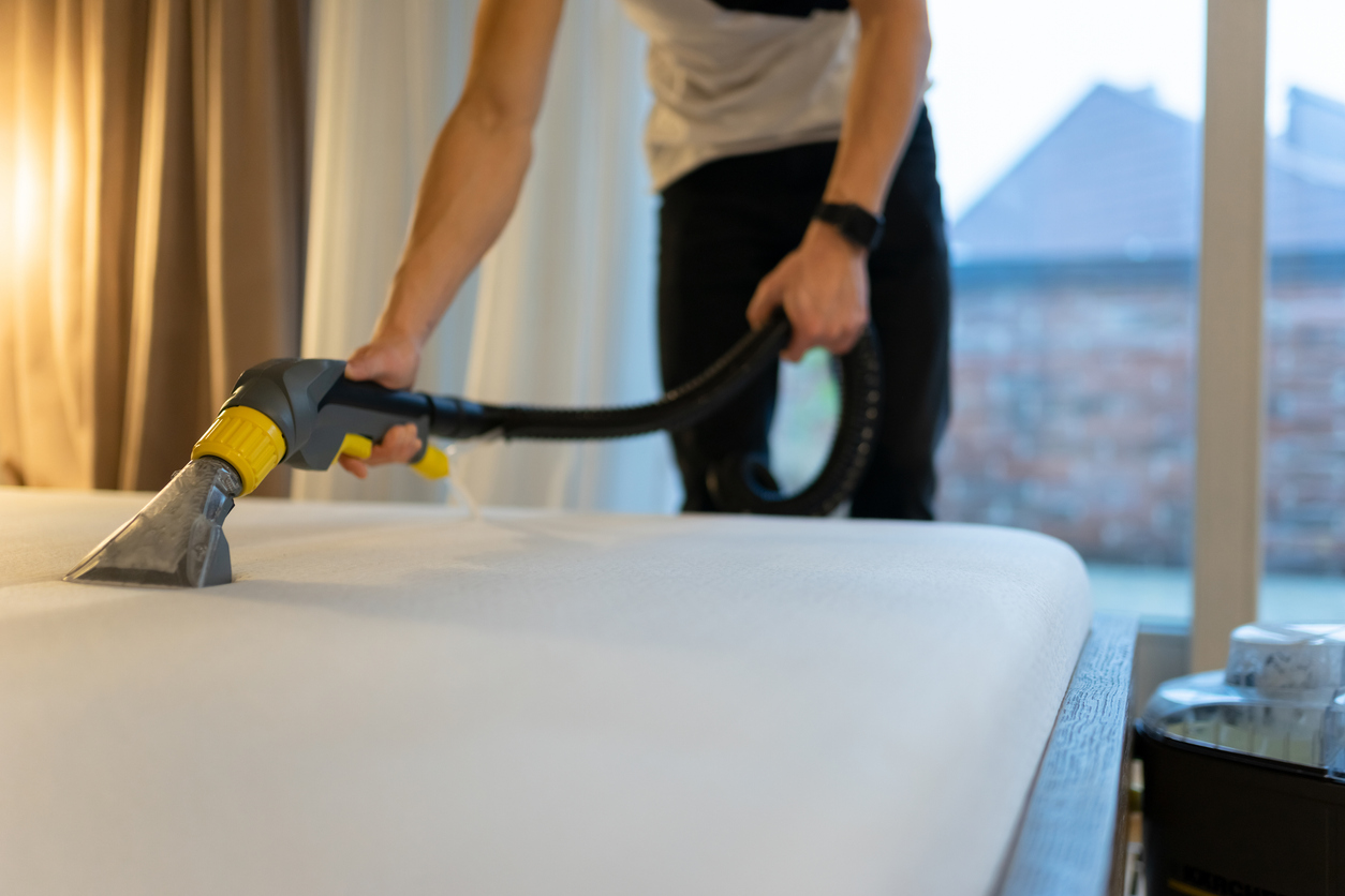 how to get rid of bed bugs in a mattress