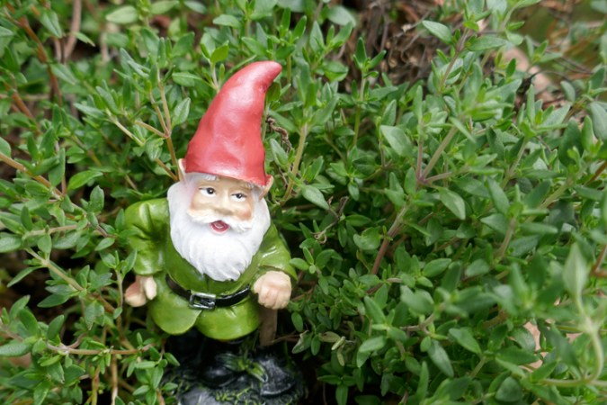 The Fascinating History of Garden Gnomes—and Why You Should Buy One