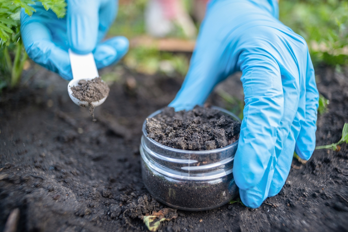 plant food vs. fertilizer - soil test