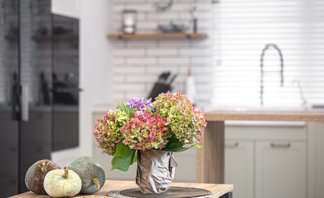 iStock-1288775539 houseplant hydrangea on tabe in kitchen