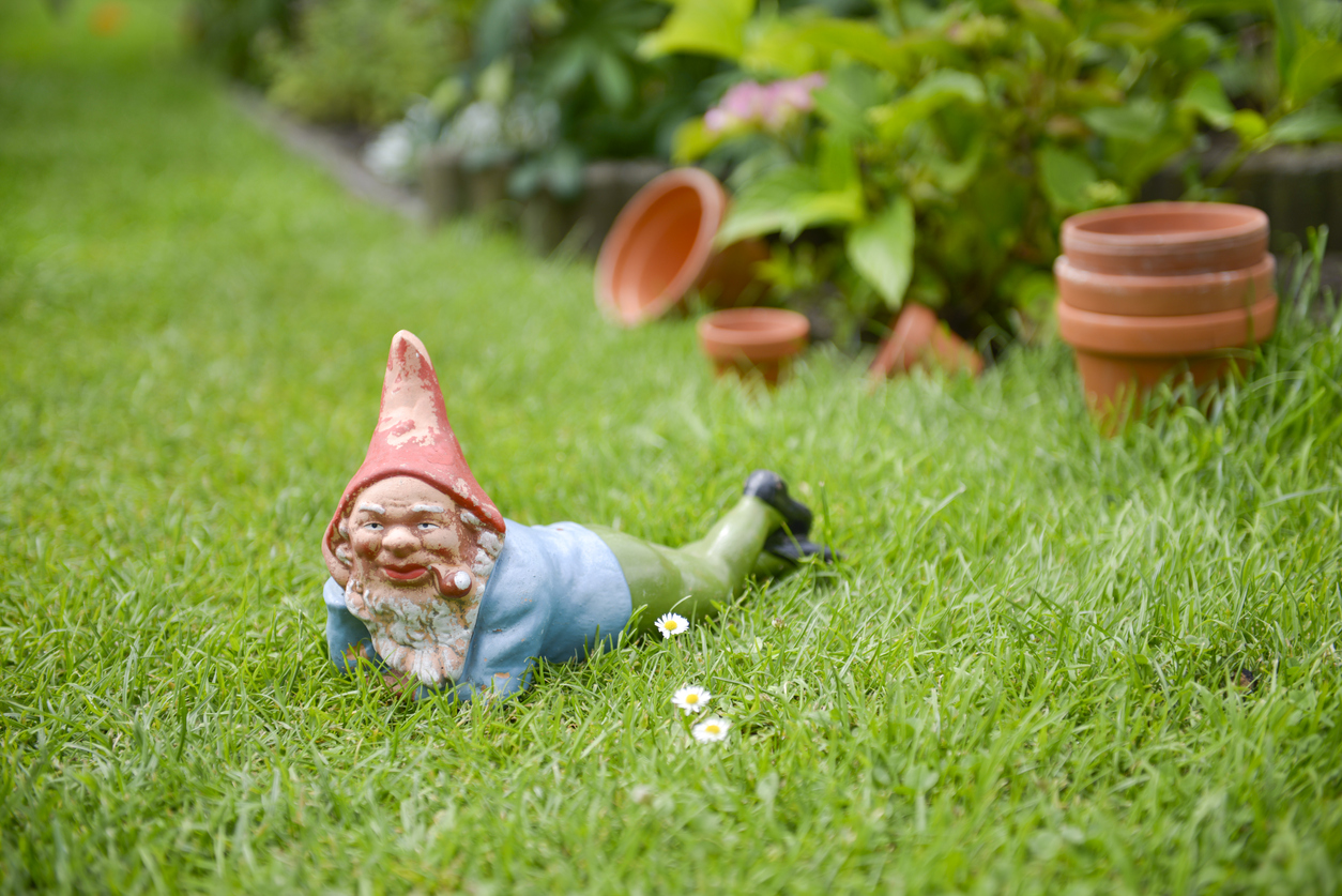 iStock-499084589 garden gnomes gnome laying in the garden