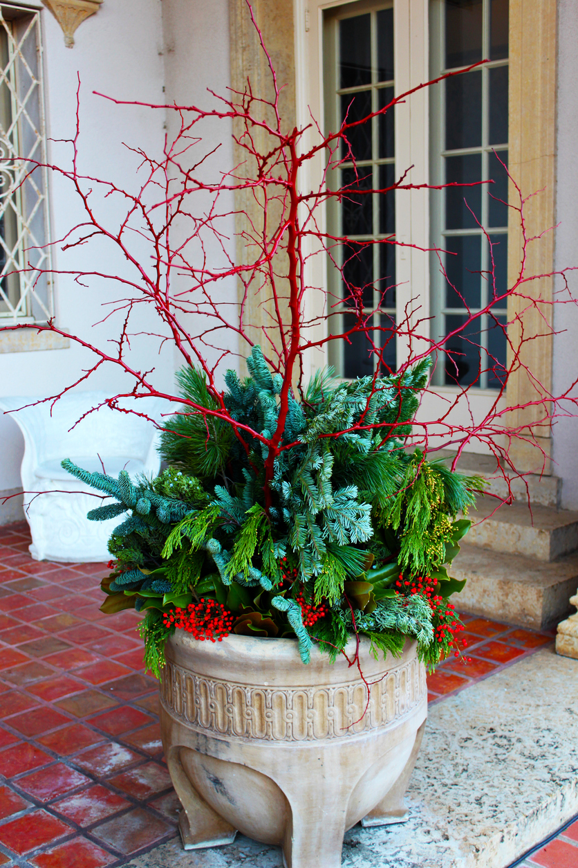 iStock-946589768 winter decor ideas outdoor winter plant in pot