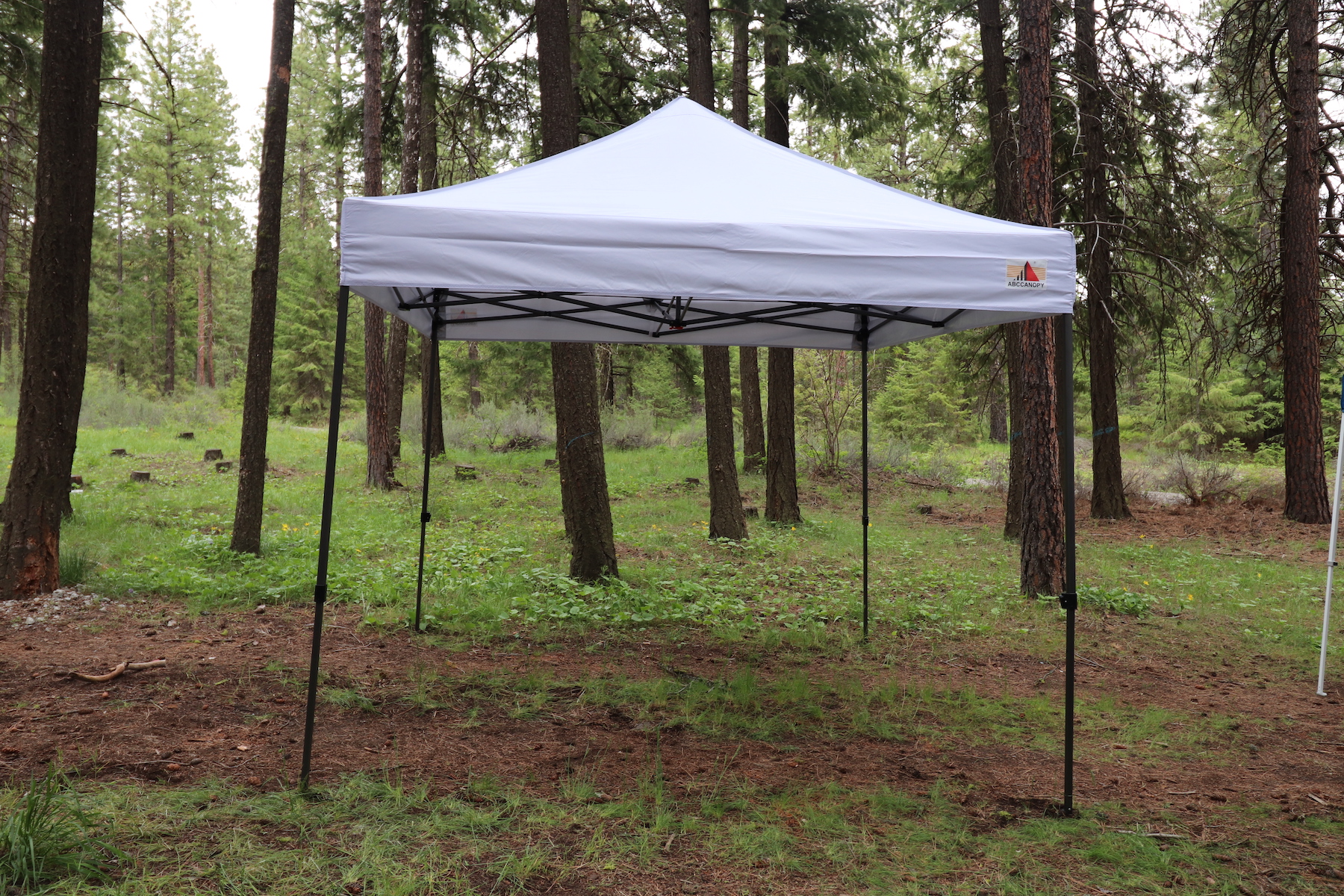 The Best Outdoor Living Product Option ABCCanopy Commercial 10-Foot by 10-Foot Pop-Up Canopy