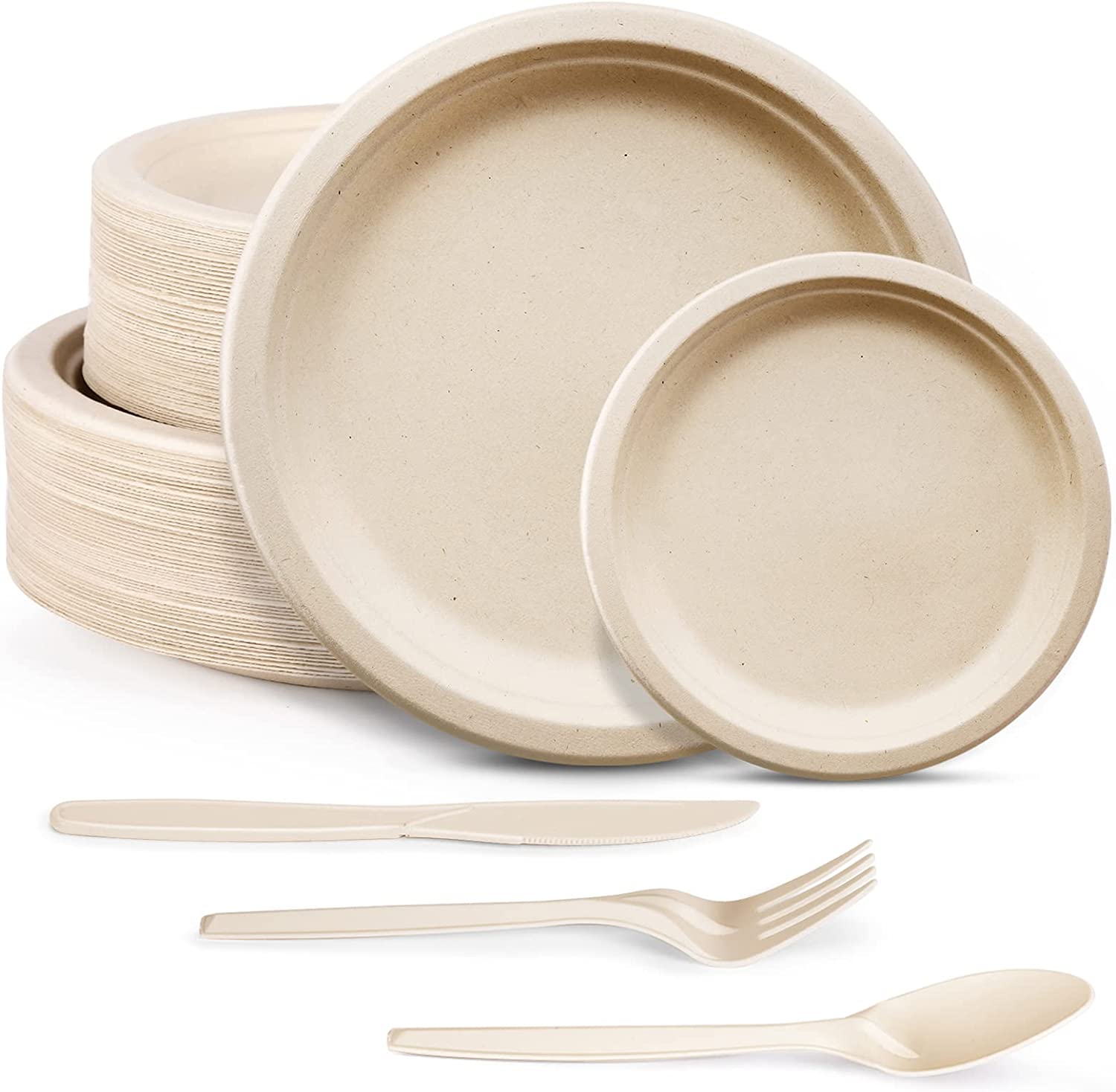 Amazon Forbidden New Years Chore Biodegradable Plates.jpg