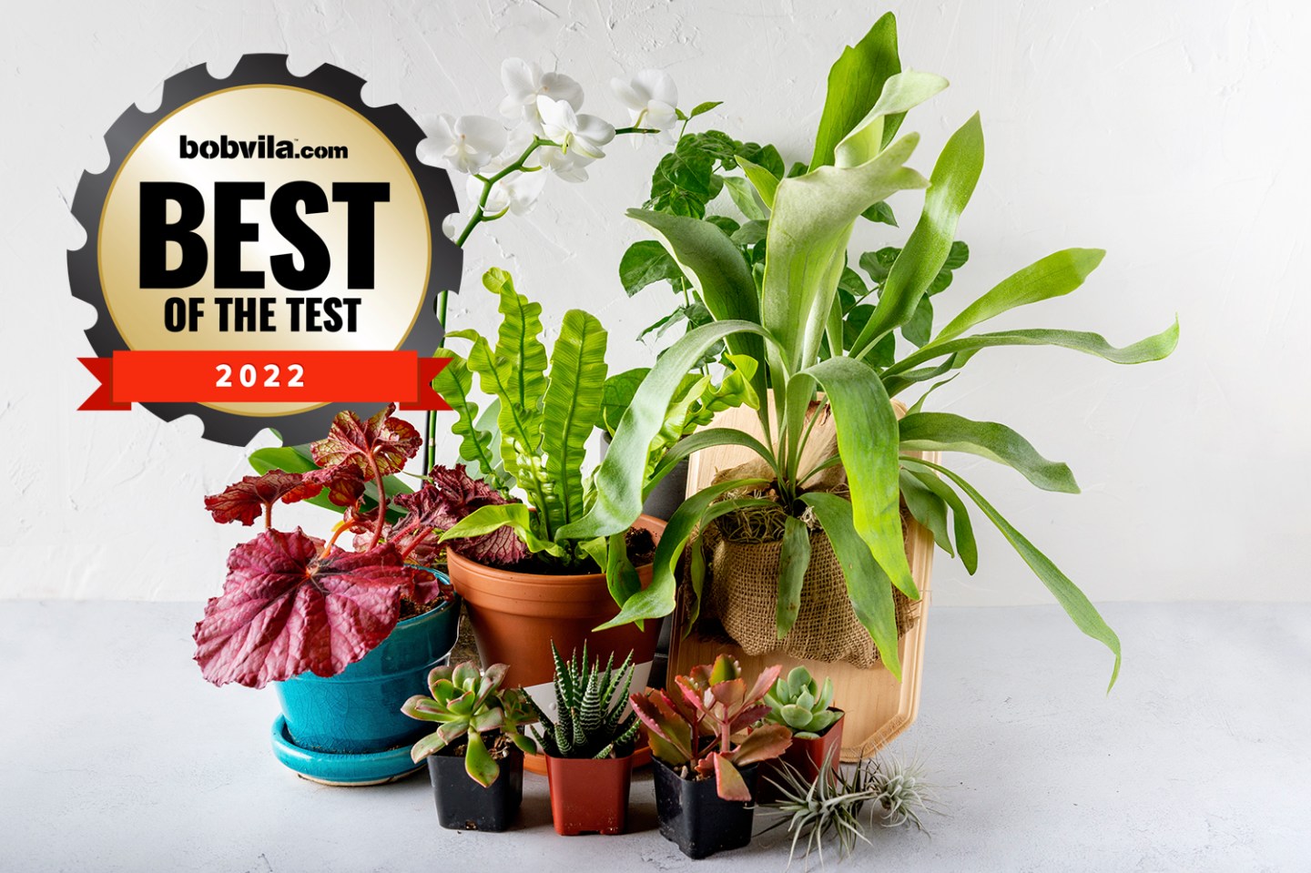 The Best Home Essentials Products Tested in 2022 - Bob Vila