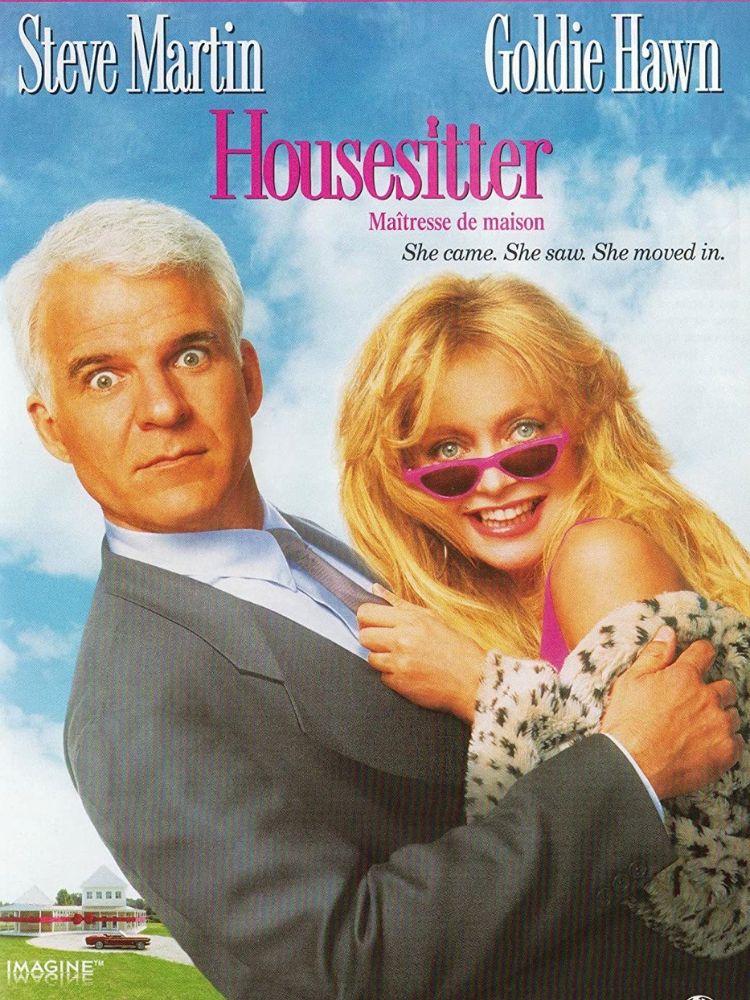 Amazon Home Renovations in movies House Sitter movie poster and stills.png
