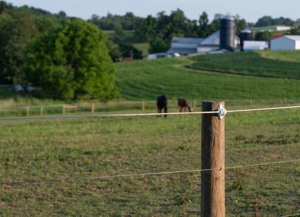 The Most Affordable Ways to Fence in a Yard: Electric Fencing