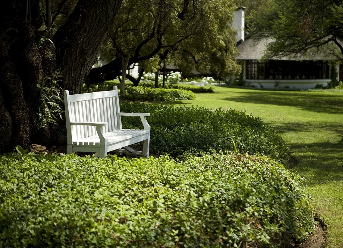 Garden Bench Under Tree