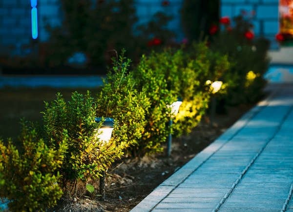 Outdoor Lighting Ideas: Path Lighting